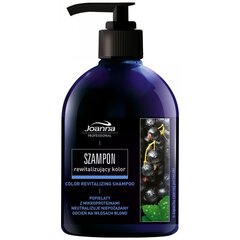 Atsvaidzinošs matu šampūns Joanna Professional Rewitalizing Color Boost 500 ml цена и информация | Шампуни | 220.lv