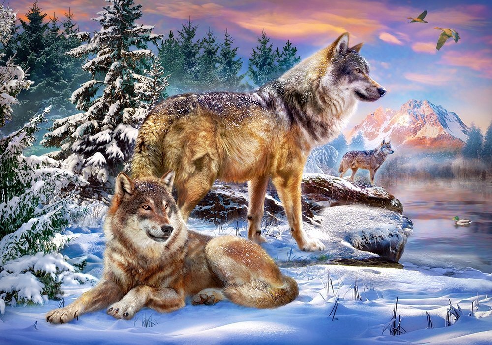 Puzle Castorland "Wolfish Wonderland", 500 d. цена и информация | Puzles, 3D puzles | 220.lv