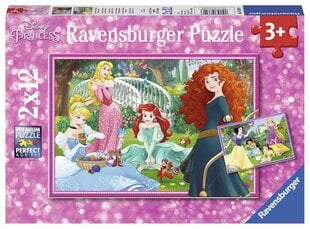 Puzle Ravensburger Disney Princess (Disneja Princese), 7620, 2 x 12 g. cena un informācija | Puzles, 3D puzles | 220.lv
