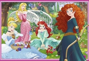 Головоломка Ravensburger Disney Princess (Принцессы Диснея), 7620, 2 x 12 д. цена и информация | Пазлы | 220.lv