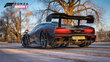 Microsoft Xbox One Forza Horizon 4 + Forza Motorsport (Voucher) цена и информация | Datorspēles | 220.lv