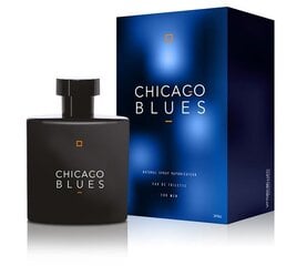 Tualetes ūdens Vittorio Bellucci Chicago Blues EDT vīriešiem 100 ml cena un informācija | Vīriešu smaržas | 220.lv