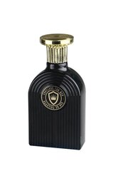 Tualetes ūdens Omerta Conclude For Men EDT vīriešiem 100 ml цена и информация | Мужские духи | 220.lv