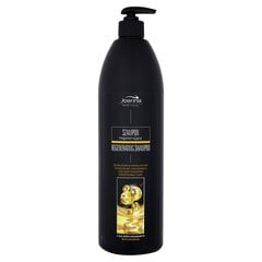 Atjaunojošs matu šampūns ar argana eļļu Joanna Professional 1000 ml cena un informācija | Šampūni | 220.lv