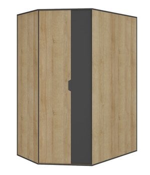 Угловой шкаф Nano 01, серый/цвета дуба цена и информация | Шкафы | 220.lv