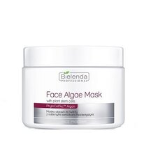 Elastības sejas maska ar augu cilmes šūnām Bielenda Professional Face Program Face Algae 190 g цена и информация | Маски для лица, патчи для глаз | 220.lv