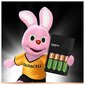 Duracell bateriju lādētājs ar baterijām цена и информация | Akumulatori, lādētāji un piederumi | 220.lv