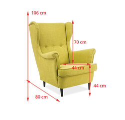 Krēsls Lord, zaļš цена и информация | Кресла в гостиную | 220.lv