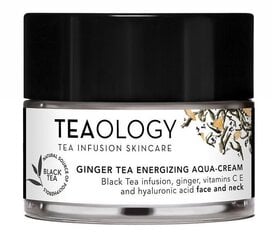 Mitrinošs sejas krēms Teaology Ginger Tea Energizing Aqua-Cream 50 ml cena un informācija | Sejas krēmi | 220.lv