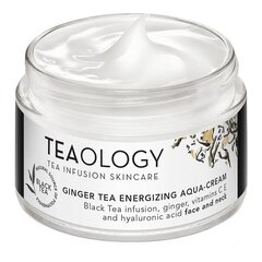 Mitrinošs sejas krēms Teaology Ginger Tea Energizing Aqua-Cream 50 ml cena un informācija | Sejas krēmi | 220.lv