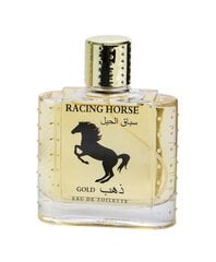 Туалетная вода для мужчин Time Racing Horse Gold EDT, 100 мл цена и информация | Мужские духи | 220.lv