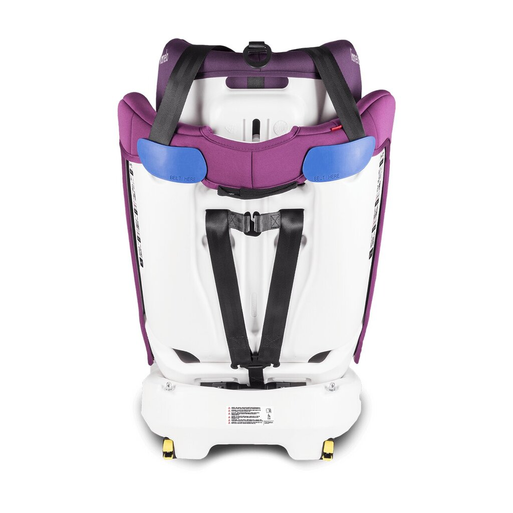 Autokrēsliņš Lionelo Bastiaan, 0-36 kg, violet цена и информация | Autokrēsliņi | 220.lv