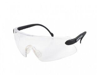 Защитные очки Hecht 900106 цена и информация | Защита головы | 220.lv