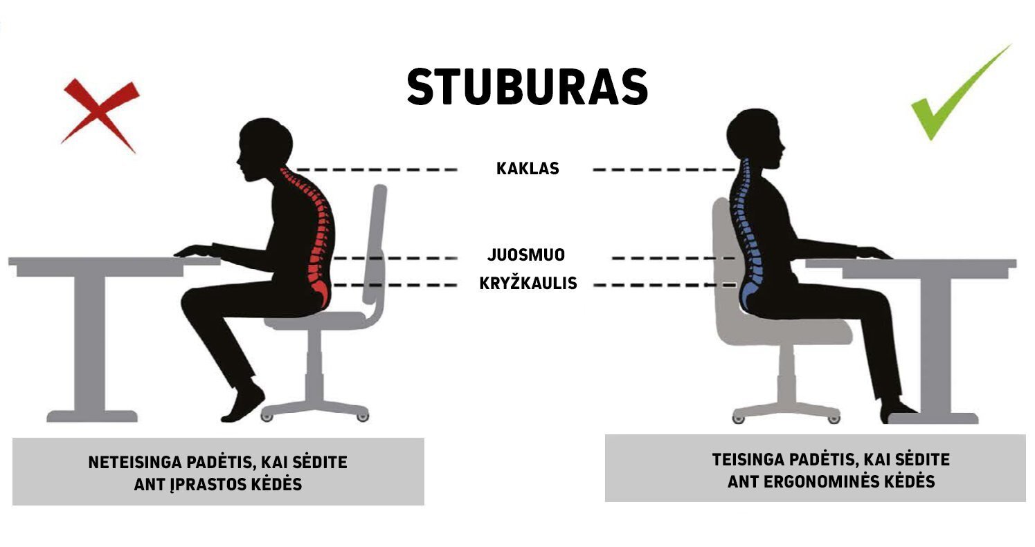 Ergonomisks bērnu krēsls Petit AB4, melns/krāsains cena un informācija | Biroja krēsli | 220.lv