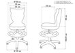 Ergonomisks bērnu krēsls Petit AB4, melns/krāsains cena un informācija | Biroja krēsli | 220.lv