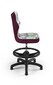 Ergonomisks bērnu krēsls Petit AB4, violets/krāsains cena un informācija | Biroja krēsli | 220.lv