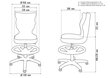 Ergonomisks bērnu krēsls Petit AB3, violets/krāsains цена и информация | Biroja krēsli | 220.lv