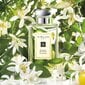 Odekolons Jo Malone Orange Blossom EDC vīriešiem/sievietēm 30 ml цена и информация | Sieviešu smaržas | 220.lv