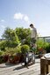 Gardena spoles un šļūtenes komplekts City Gardening, 10 m cena un informācija | Laistīšanas sistēmas | 220.lv