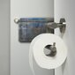 " Tiger Boston " tualetes papīra turētājs vannai un dušai цена и информация | Vannas istabas aksesuāri | 220.lv