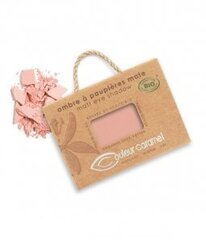 Couleur Caramel Matētas acu ēnas, 2,5 g, N017 Matt pink цена и информация | Тушь, средства для роста ресниц, тени для век, карандаши для глаз | 220.lv