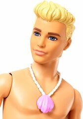 Kens Barbie nāriņa Dreamtopia, FXT23 cena un informācija | Rotaļlietas meitenēm | 220.lv
