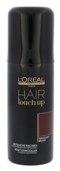 Краска спрей для волос L'Oreal Professionnel Hair Touch Up 75 мл цена и информация | Краска для волос | 220.lv
