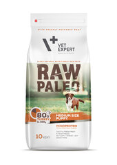 Raw Paleo sausa, bezgraudu barība vidējo šķirņu kucēniem Puppy Medium ar tītaru, 10 kg cena un informācija | Sausā barība suņiem | 220.lv