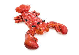 Piepūšamā rotaļlieta Intex Lobster Ride-On cena un informācija | Piepūšamās rotaļlietas un pludmales preces | 220.lv