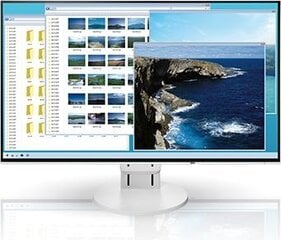 Eizo FlexScan EV2451 цена и информация | Мониторы | 220.lv