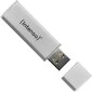USB zibatmiņa Intenso 3521452 cena un informācija | USB Atmiņas kartes | 220.lv
