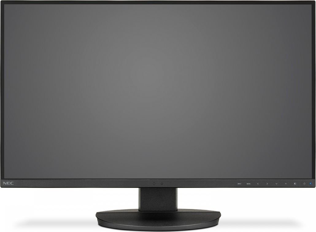 NEC 60004303 цена и информация | Monitori | 220.lv