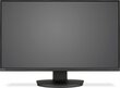 NEC 60004303 цена и информация | Monitori | 220.lv