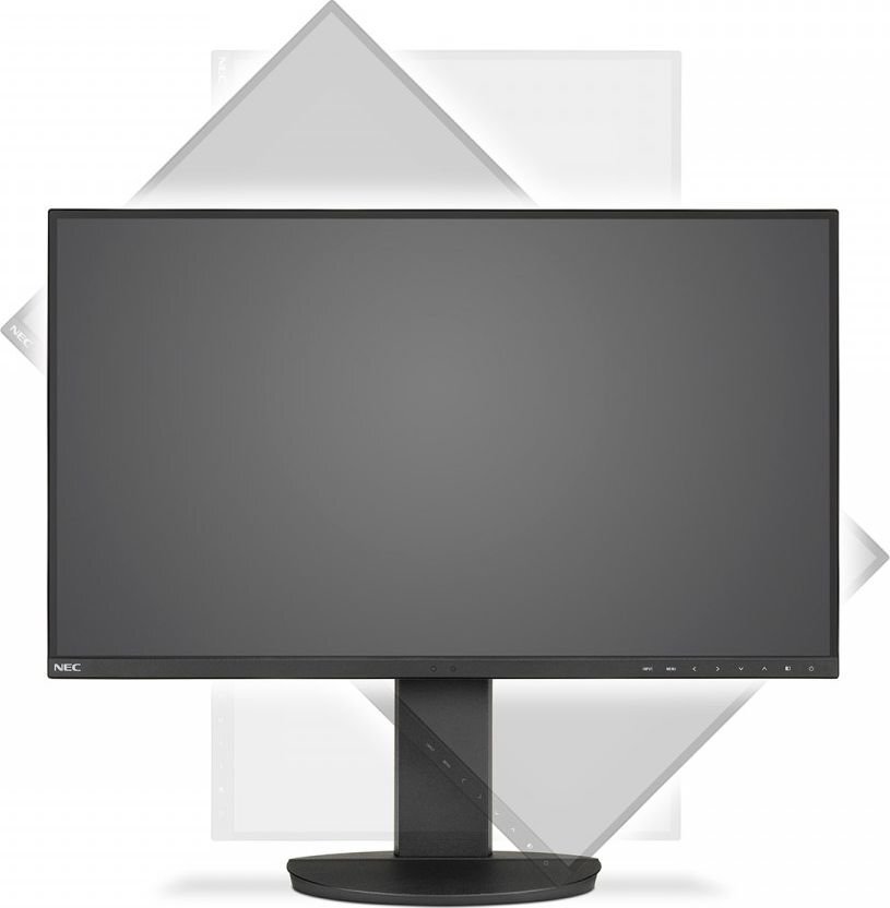 NEC 60004303 цена и информация | Monitori | 220.lv