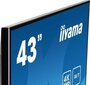 Iiyama LE4340UHS-B1 cena un informācija | Monitori | 220.lv