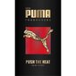 Tualetes ūdens Puma Push The Heat Man EDT vīriešiem 50 ml cena un informācija | Vīriešu smaržas | 220.lv