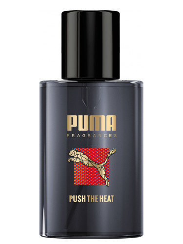 Tualetes ūdens Puma Push The Heat Man EDT vīriešiem 50 ml цена и информация | Vīriešu smaržas | 220.lv