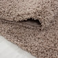 nf DREAM 60 X 110 4000 BEIGE cena un informācija | Paklāji | 220.lv