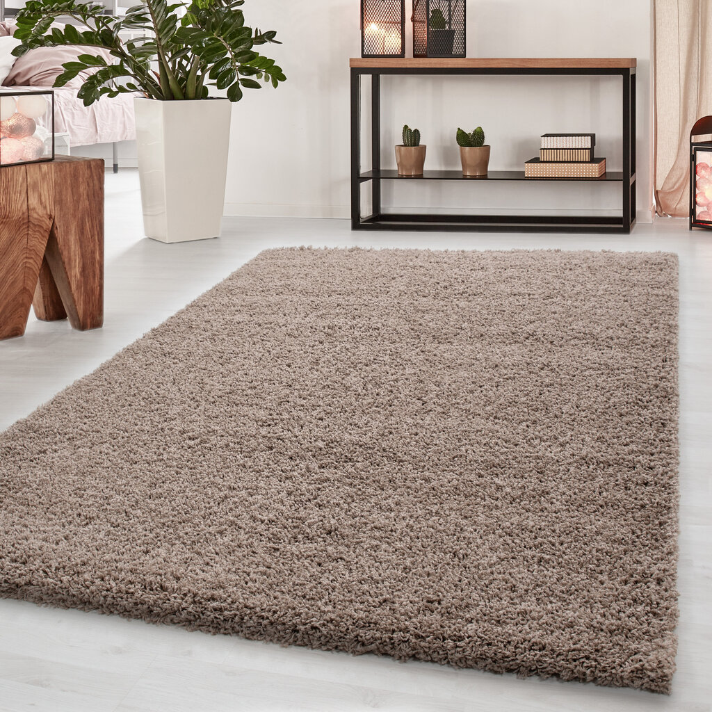 nf DREAM 60 X 110 4000 BEIGE cena un informācija | Paklāji | 220.lv