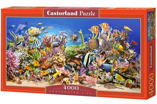 Puzle Puzzle Castorland Underwater Life, 4000 d. cena un informācija | Puzles, 3D puzles | 220.lv