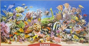 Пазл 4000 Подводная жизнь 400089 цена и информация | Пазлы | 220.lv