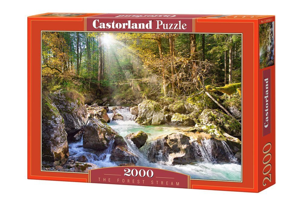 Castorland puzle The forest stream, 2000 detaļu cena un informācija | Puzles, 3D puzles | 220.lv
