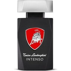 Tualetes ūdens Tonino Lamborghini Intenso EDT vīriešiem 125 ml cena un informācija | Tonino Lamborghini Mājai un remontam | 220.lv