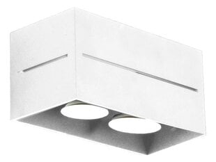 Lampex светильник Quado Pro 2 цена и информация | Потолочные светильники | 220.lv