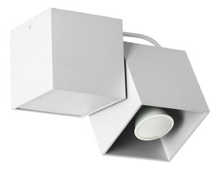 Lampex lampa Kraft cena un informācija | Griestu lampas | 220.lv