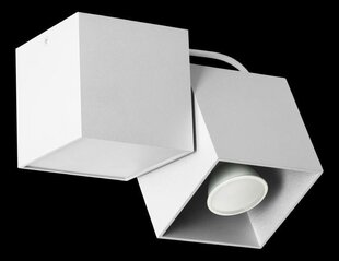 Светильник Lampex Kraft цена и информация | Потолочные светильники | 220.lv