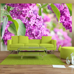 Foto tapete - Lilac flowers цена и информация | Фотообои | 220.lv