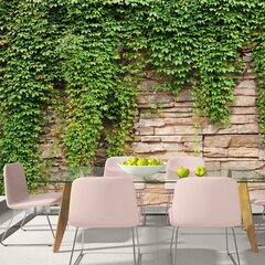 Foto tapete - Ivy wall цена и информация | Фотообои | 220.lv