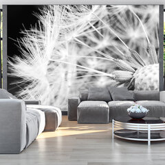 Foto tapete - Black and white dandelion cena un informācija | Fototapetes | 220.lv