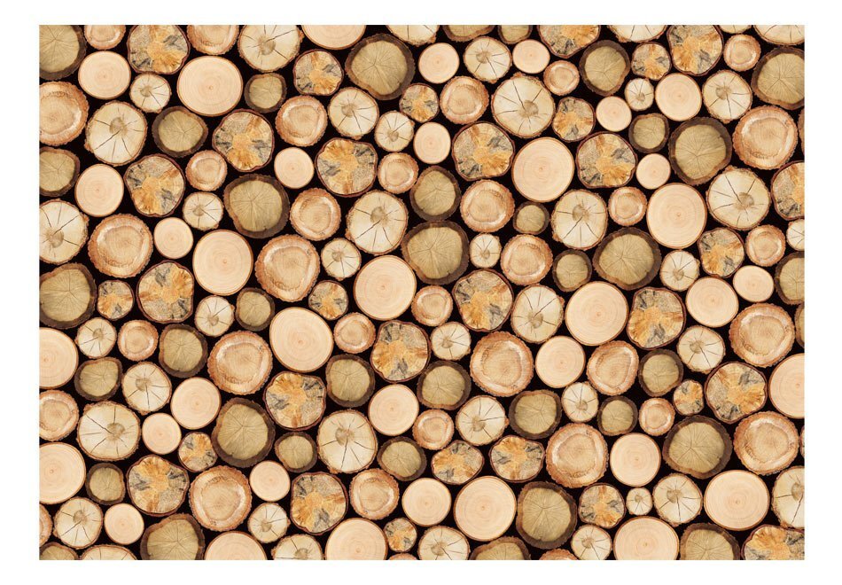 Foto tapete - In sawmill цена и информация | Fototapetes | 220.lv